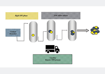 Figure 2: The Catalloy reactor TPO process.