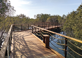 Jubail Mangrove Park ... a shift in the leisure offerings within Abu Dhabi,