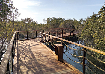 Jubail Mangrove Park ... a shift in the leisure offerings within Abu Dhabi,