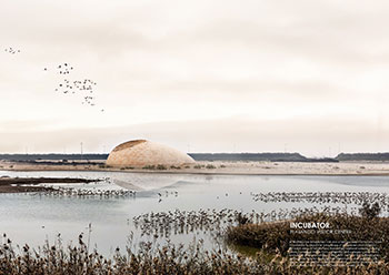 Incubator’ by US designers