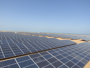 Masdar’s Red Sea solar facility.