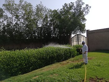 A Masa technician at work.