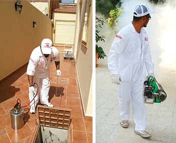 Masa technicians ... experts.