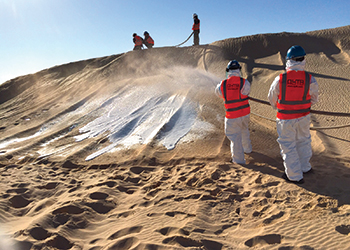 TerraFirma undertaking sand stabilisation work in Ain Dar.