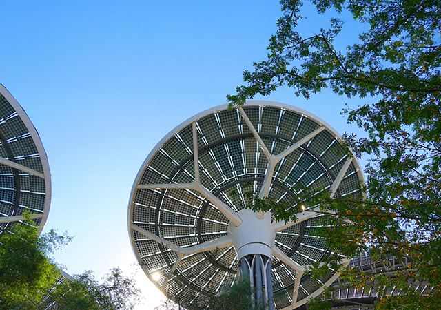 Solar Trees at the Expo 2020 Dubai site generate power where it is consumed, reducing grid strain and utilising existing urban footprints.