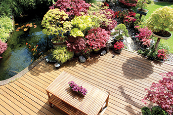 Panorama bamboo decking ... eco-sustainable solution.