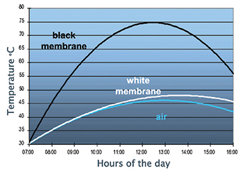 Figure 4: The white/light, sun-reflecting colour of Hifax TPO results in energy savings.