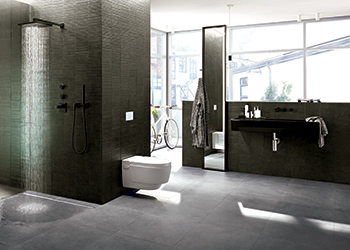 Geberit models are water efficient.