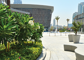 The XDubai Kite Beach Skatepark is the largest of its kind in the region.